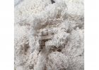 White Cotton Waste - Pure white cotton waste (by hand)